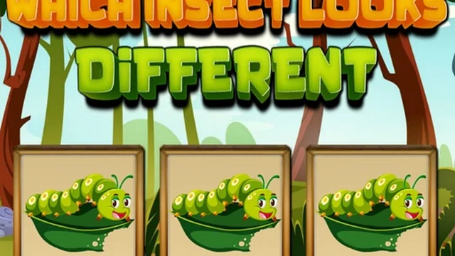 Which Insect Looks Different game thumbnail