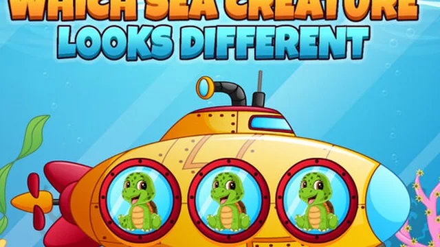 Which Sea Creature Looks Different