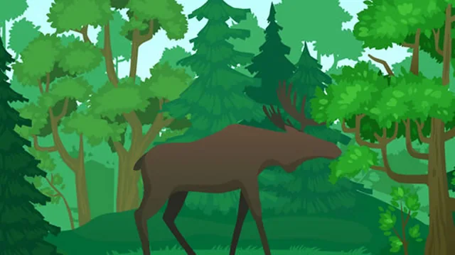 Wild Animals Coloring