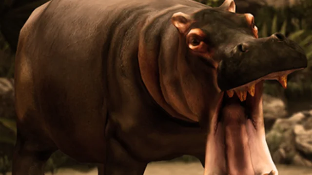 Wild HIPPOPOTAMUS Hunting game thumbnail