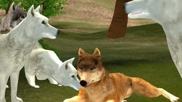 Wild Wolves