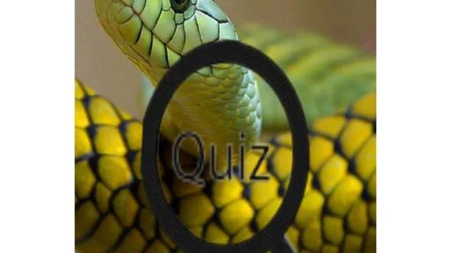 Wildlife Animal Trivia:Test Your Knowledge!