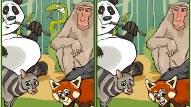 Wildlife Safari Five Diffs
