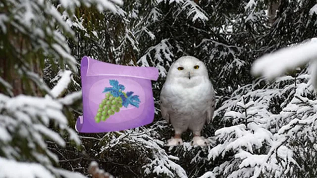 Winter Wonderland Forest Adventure